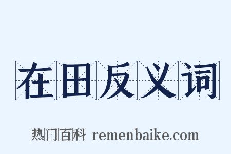 在田反义词是什么意思的图片